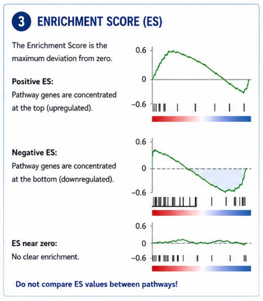 GSEA enrichment score examples for positive, negative, and near-zero enrichment