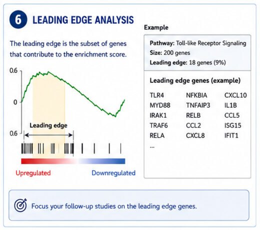 GSEA leading edge analysis showing genes that drive pathway enrichment
