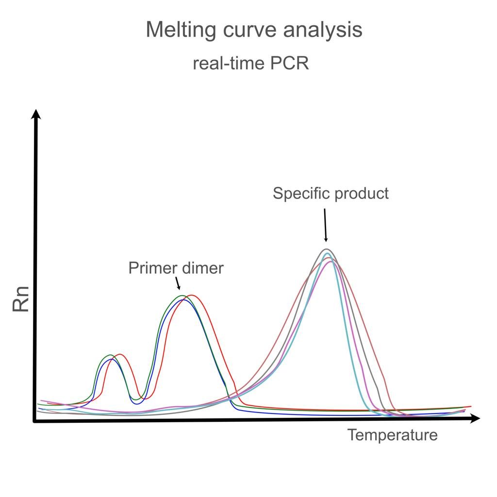 Melt curve with labeled specific product and primer dimer peaks