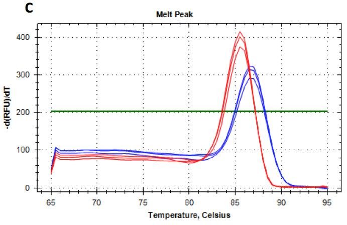 Melt curve plot showing two sample groups with distinct melting temperature peaks